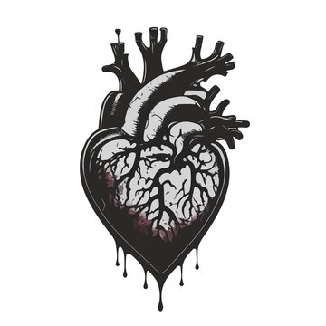 Heart in Ink Exploring the Anatomy  A Medical Illustration Journey in Intricate Ink Artistry