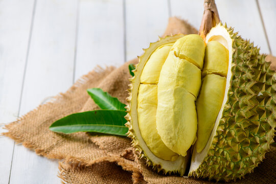 Durian fruit. Ripe monthong durian on sack and white wood background,