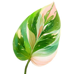 leaf isolated on white background