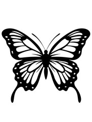 smooth butterfly outline vector art