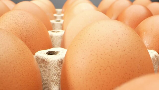 The combination of fresh eggs and a probe lens in macro videography unlocks a world of stunning beauty and unique textures that often go unnoticed in our day-to-day lives.
