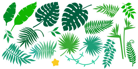 Fototapeta na wymiar Vector set of different tropical plants, leaves and flower. Summer exotic elements for invitations, posters, backgrounds