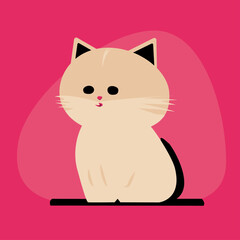 cute little cat pink color