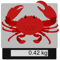 hand drawn vector illustration,isolated red crab on digital scale on white background.	