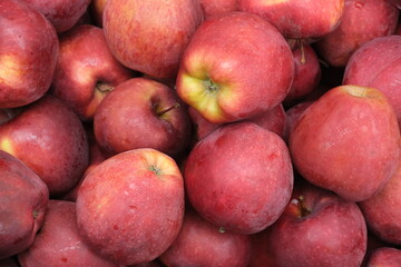 Fresh apples shot, close up view . red apples