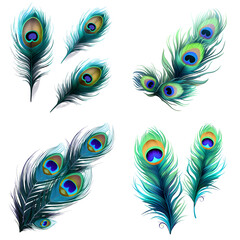Naklejka premium set of feathers