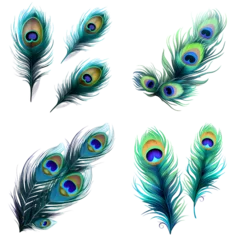 Gordijnen set of feathers © Non