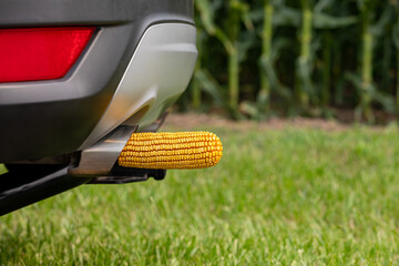 Vehicle exhaust pipe with ear of corn. Ethanol, biofuel, renewable energy and agriculture concept.