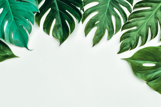 Experience a minimal and exotic summer vibe with this creative layout of colorful tropical leaves on a white background, featuring ample copy space.