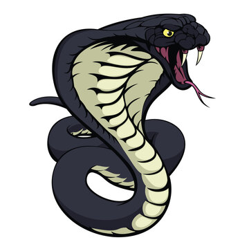 cobra snake vector art illustration design