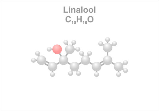 Simplified scheme of the linalool molecule. Use in perfumery and cosmetics