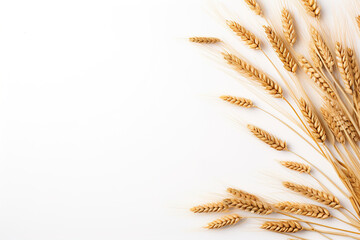 Ears of wheat on a white background - obrazy, fototapety, plakaty