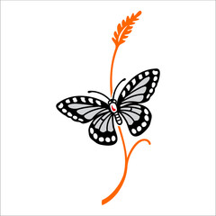 Fototapeta na wymiar vector butterfly perched on stalk can be used as graphic design