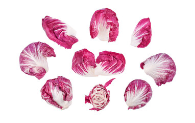 Radicchio red salad isolated on transparent background. PNG
