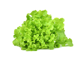 Fresh green lettuce isolated on transparent background. PNG