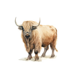 Yak Illustration, Zeichnung, Wasserfarben, ideal für Bücher, Kinderbücher, Magazine, Blogs, Poster, T-Shirts, Plakate, weitere Tier im gleichen Stil verfügbar