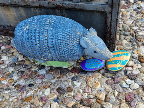 Blue Armadillo decoration and  Painted Rocks