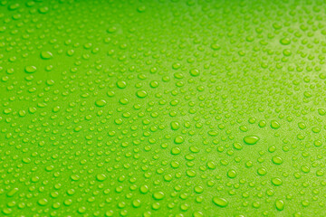 Fototapeta na wymiar lots of small drops on a green background