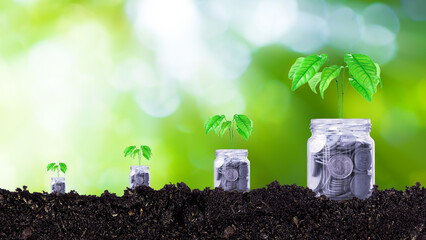 Coins in glass jar with plant on top putting on soil with sunlight bokeh green background....