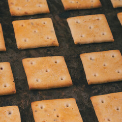 Spicy square crackers on the baking tray. Salty crackers closeup. Macro shot.