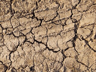 Dry cracked soil ground on the meadow during hot summer day. Slovakia