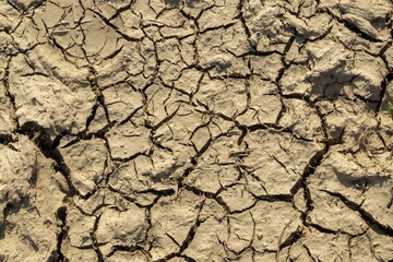 Dry cracked soil ground on the meadow during hot summer day. Slovakia
