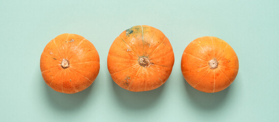 Small pumpkins in a row on a blue pastel background. Top view, flat lay. Halloween and thanksgiving concept. Banner