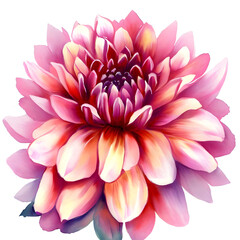 watercolor dahlia flower. Illustration isolated on white background for design,print or background Generative AI