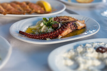 octopus tentacle dish served in plate