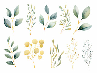 Watercolor green eucalyptus and golden plants set on white background, ai generated 