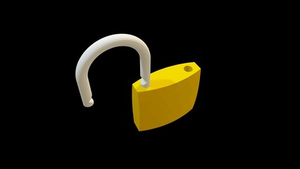 Padlock used to protect the most diverse objects