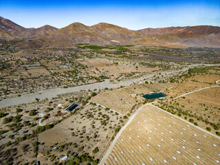 Aerial view of citriculture in Petorca in Chile, South America - plantation of citrus fruits