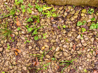 Small pebbles and stones on the ground, background or texture.