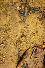 Rough stone background or texture pattern, highly detailed, hdr, gritty surface