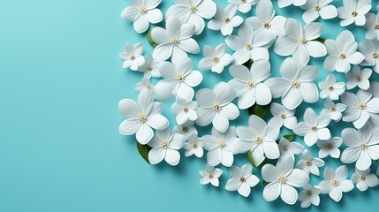  a bunch of white flowers on a blue background with space for text.  generative ai