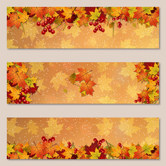 Autumn colorful leaves horizontal vector banners collection. Sale banner, promo poster, coupon, voucher, discount card design template