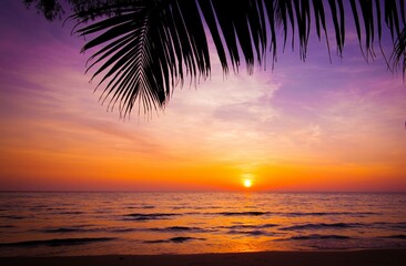 Fototapeta na wymiar Tropical sea sunset tree sky view background 