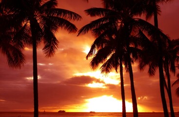 Naklejka na ściany i meble Tropical sea sunset tree sky view background 