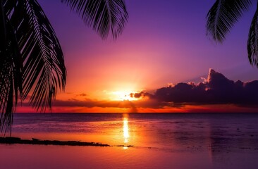 Plakat Tropical sea sunset tree sky view background 