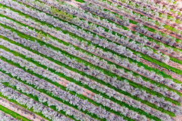  Israel. Aerial photography
