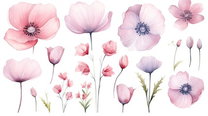  a bunch of pink flowers on a white background with a white background.  generative ai
