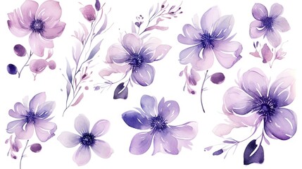  a bunch of flowers that are on a white background,.  generative ai