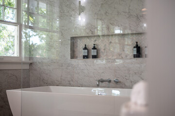 shower in the bathroom with a freestanding bathtub