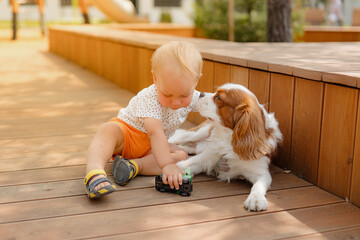 Carefree boy playing with dog in playground at sunny day. Little boy having fun on playground. Outdoor creative activities for kids. Summer and childhood concept. Cavalier King Charles Spaniel.