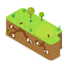 3D Isometric Flat  Conceptual Illustration of Rabbit Family