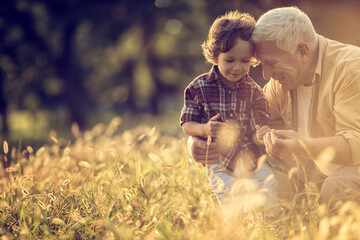 Young boy and his grandfather spending time at the park forest - obrazy, fototapety, plakaty