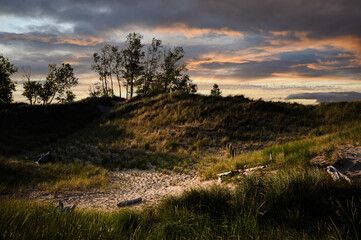 Sand dunes with trees on top at sunset