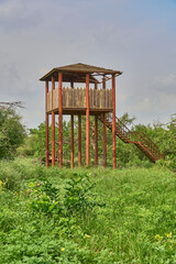 Watch tower in a forest