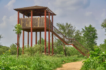 Watch tower in a forest