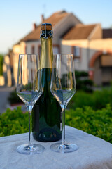 Tasting of premier cru sparkling white wine with bubbles champagne with view on old houses of...